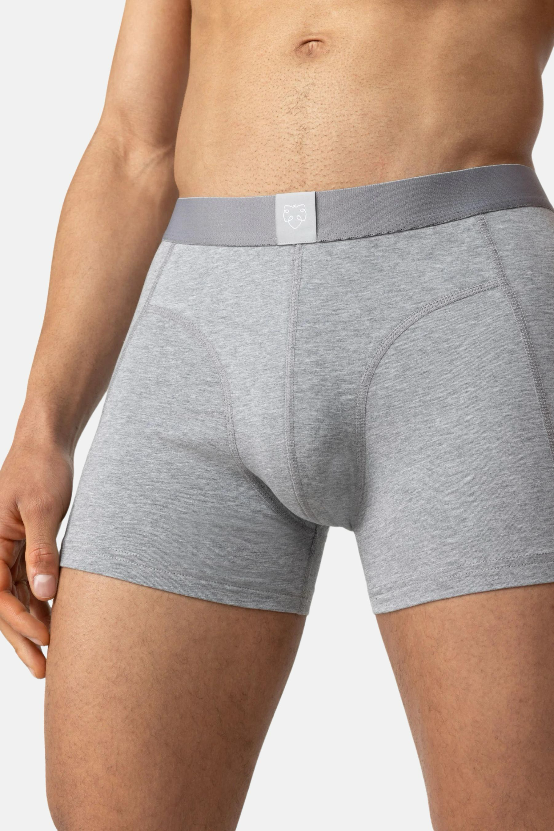 Pánské boxerky z bio bavlny | A-dam - Premium Basics