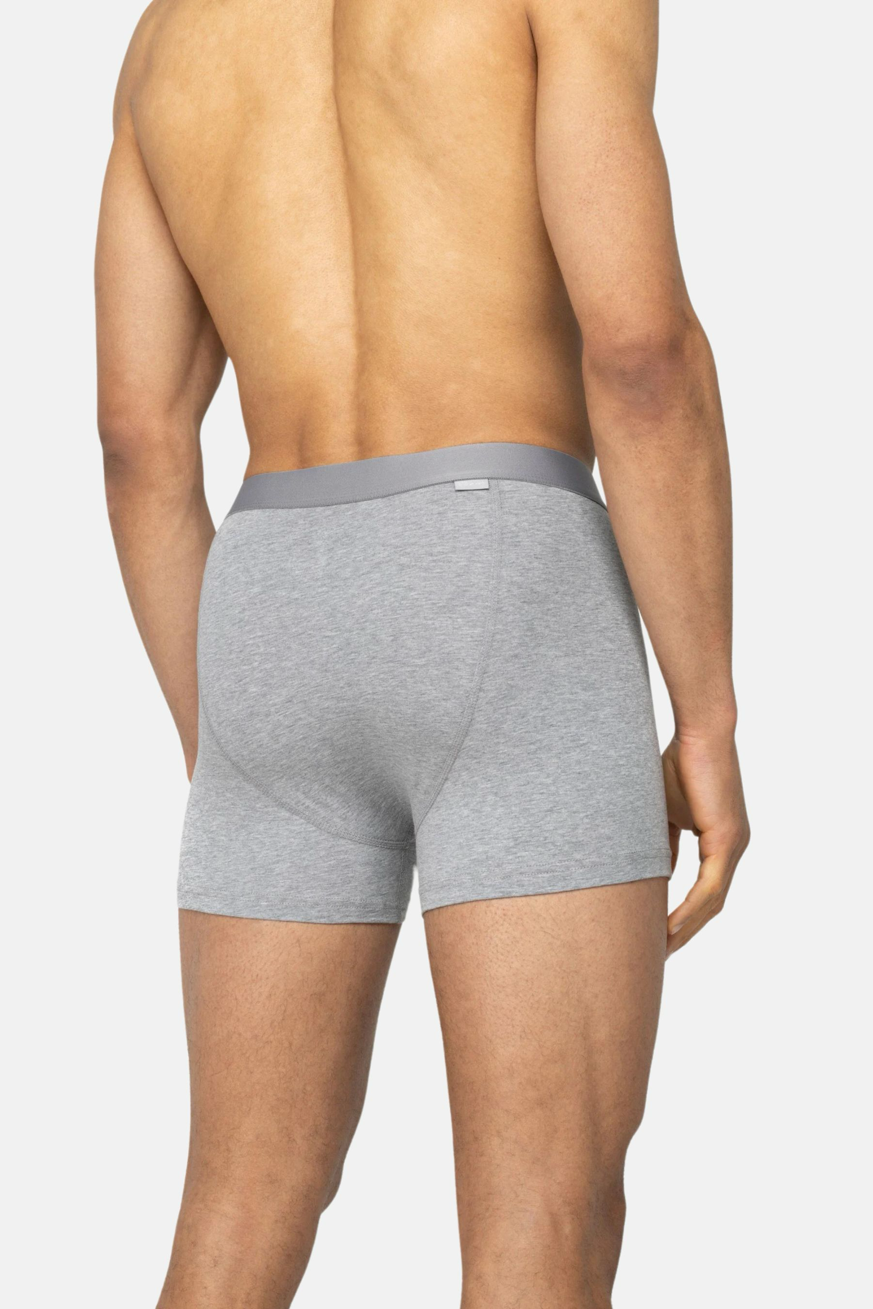 Pánské boxerky z bio bavlny | A-dam - Premium Basics