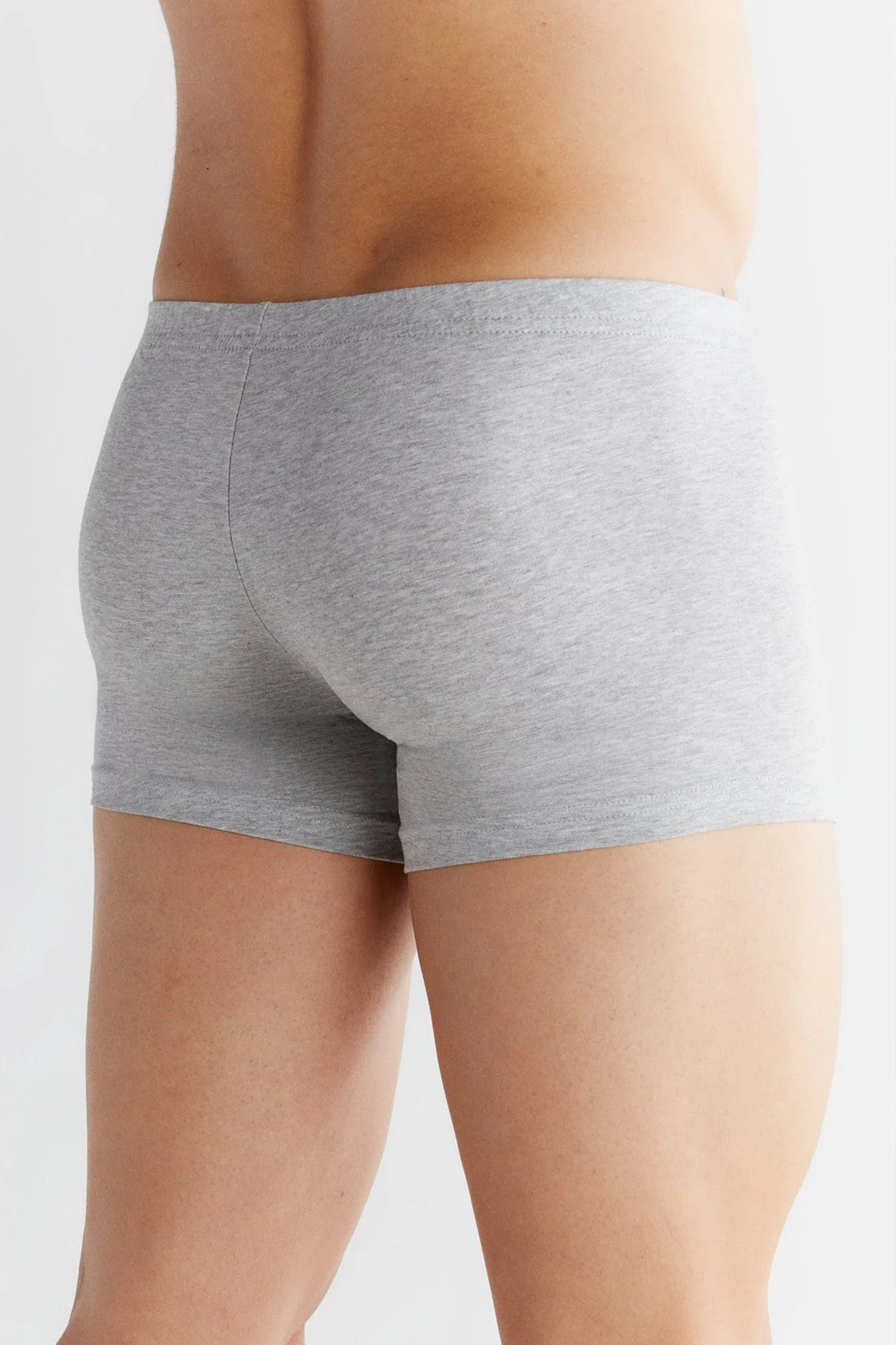 Pánské přiléhavé trenýrky z bio bavlny | Albero