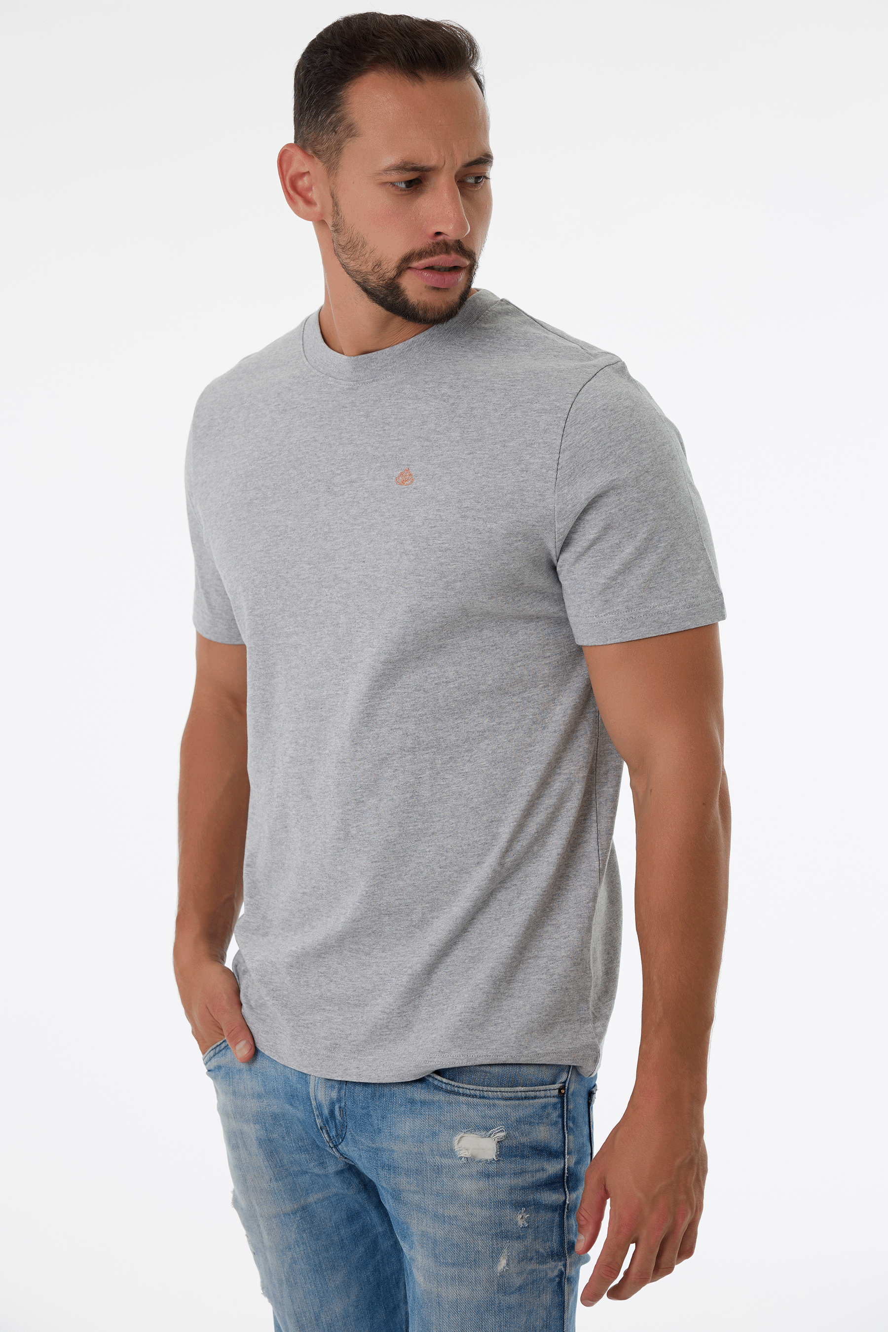 Pánské tričko z bio bavlny | Royal 2.0 - Premium Basics