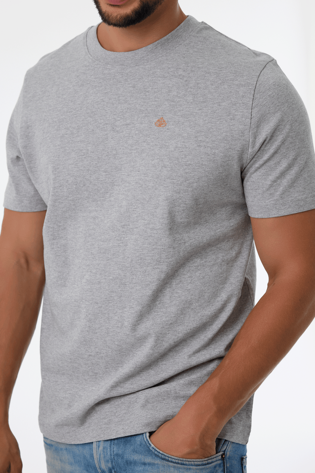 Pánské tričko z bio bavlny | Royal 2.0 - Premium Basics