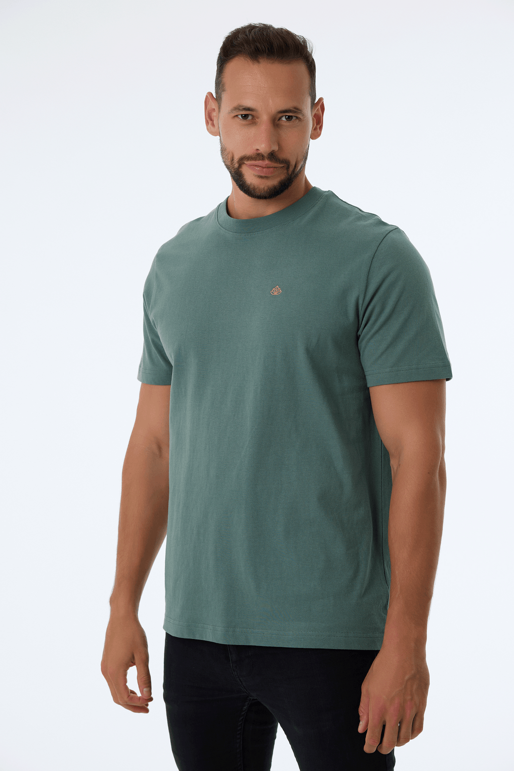 Pánské tričko z bio bavlny | Royal 2.0 - Premium Basics