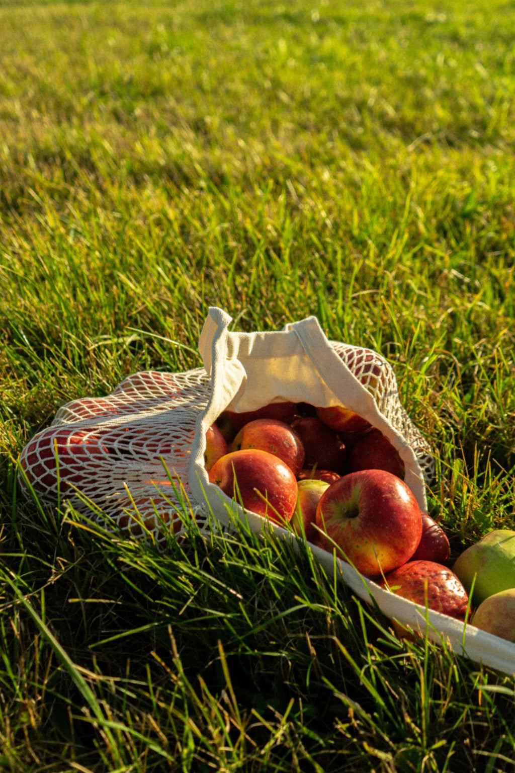 Síťová taška | Net Mini - Premium Basics