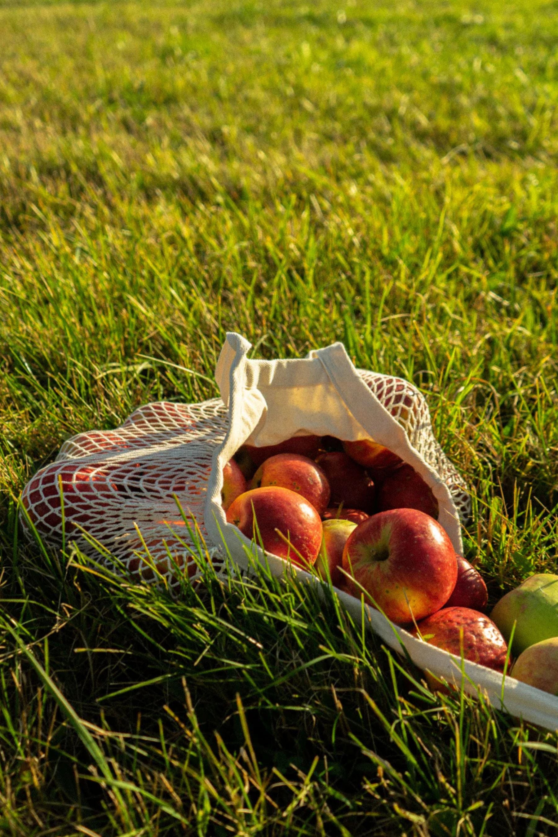 Síťová taška | Net Mini - Premium Basics