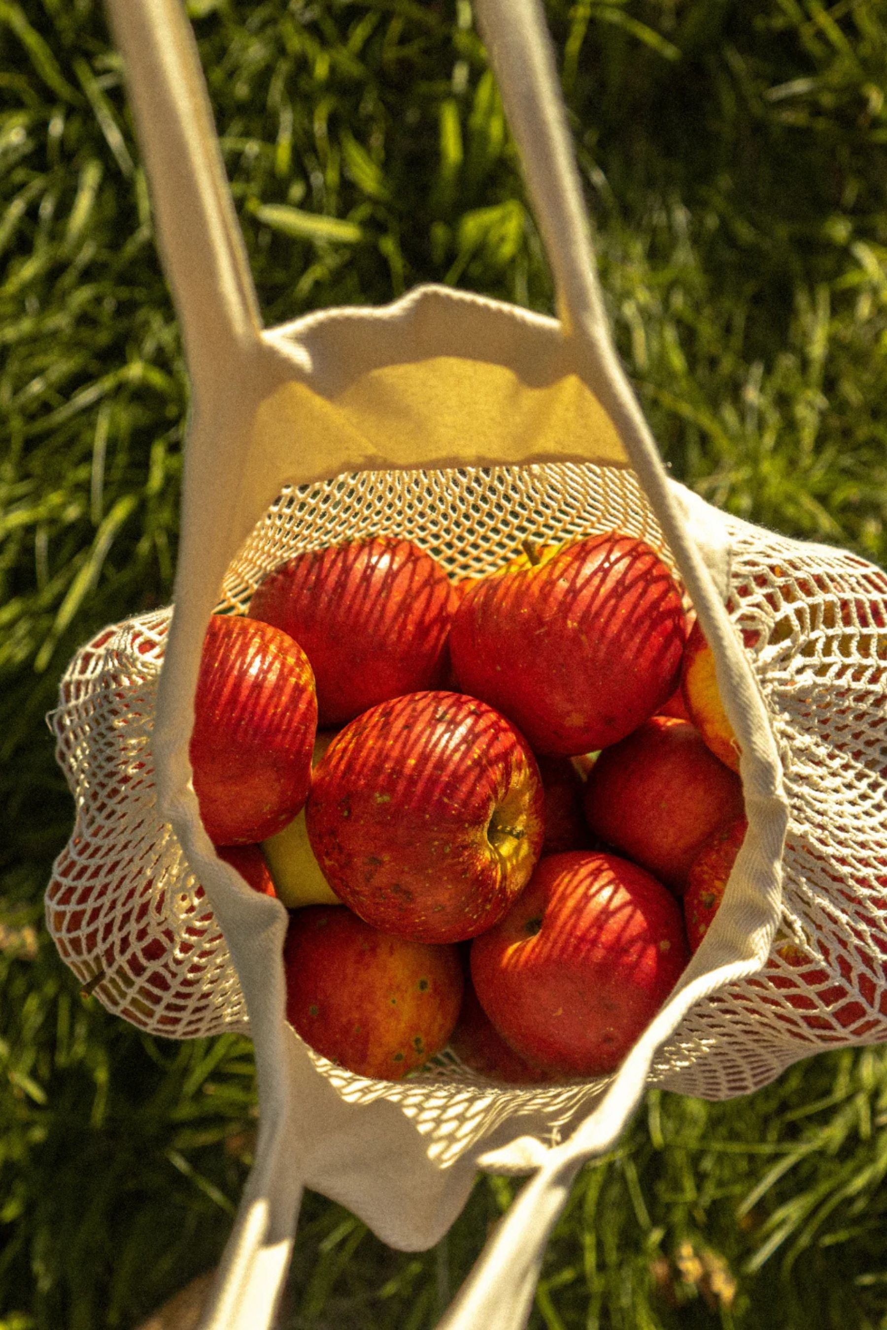 Síťová taška | Net Mini - Premium Basics