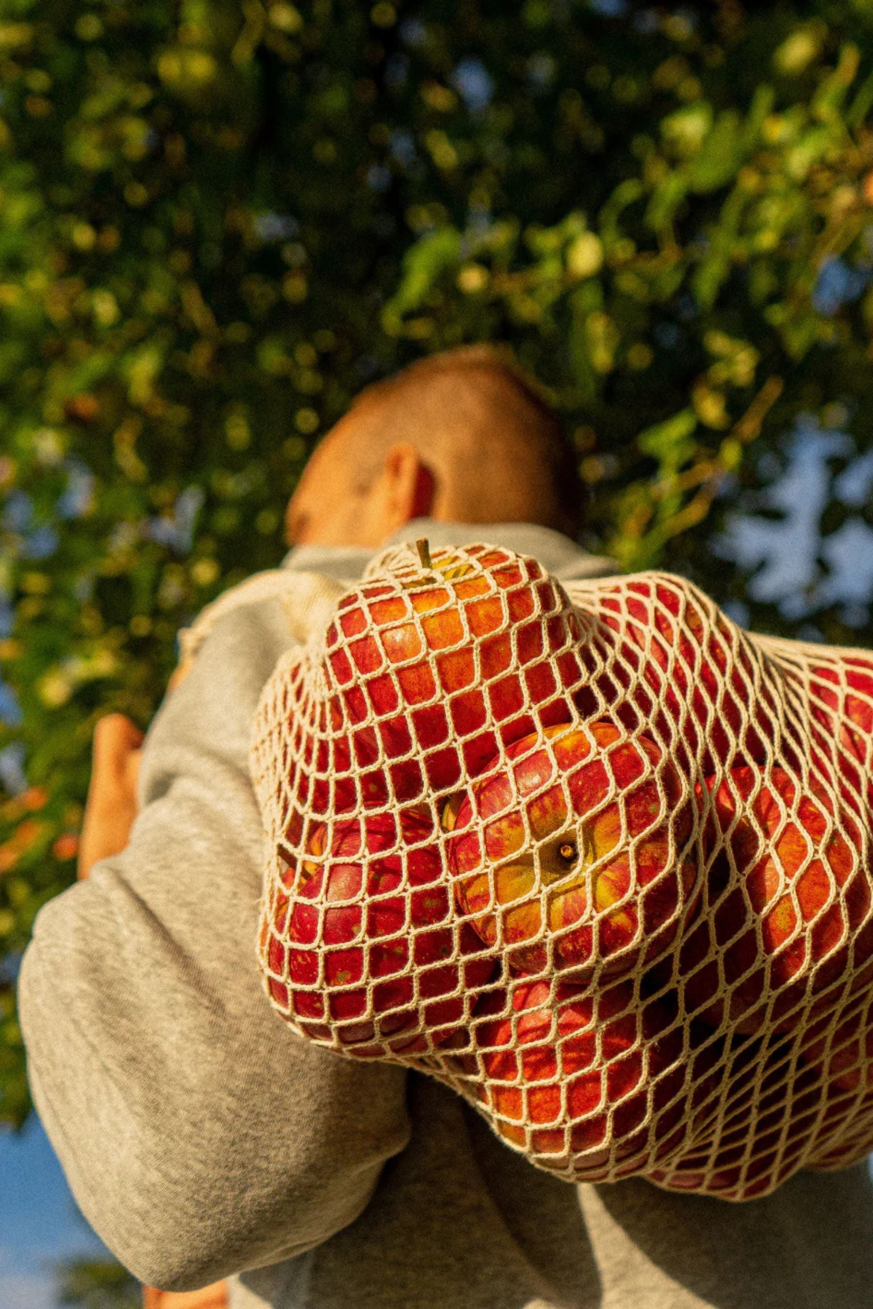 Síťová taška | Net Mini - Premium Basics